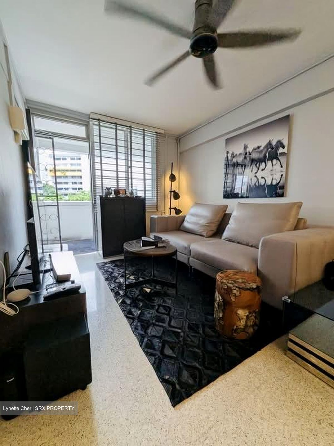 Blk 24 SIN MING VILLE (Bishan), HDB 3 Rooms #580855451